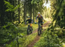 Een man en jongen mountainbiken over een karrespoor.