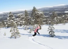 Pige på snowboard.