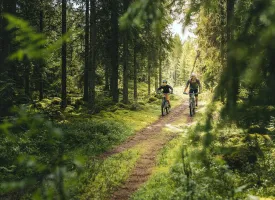 Far og sønn sykler i skogene i Säfsen.