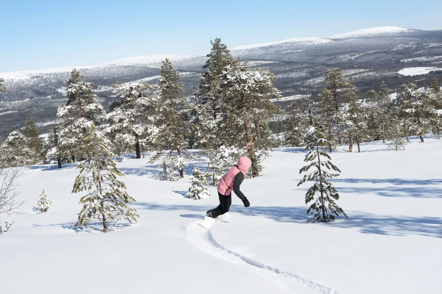 Pige på snowboard.