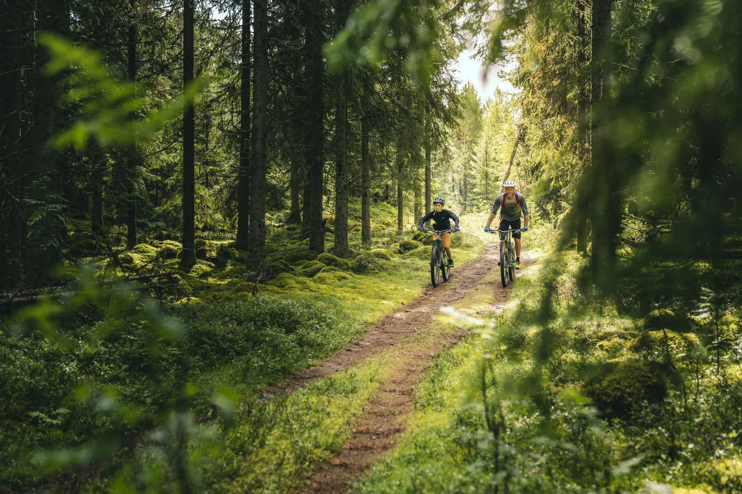 Far og søn cykler langs en skovvej.