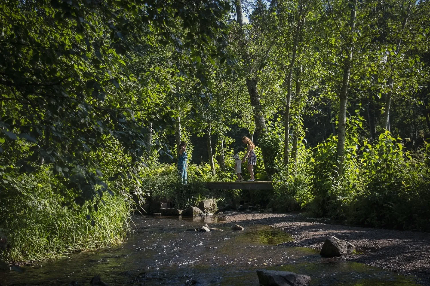 Drie personen staan bij een beekje in het bos.