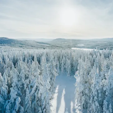 Een besneeuwde natuur.