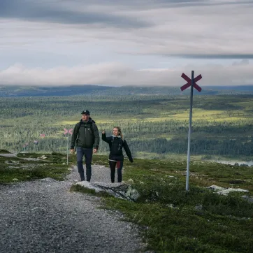 Een jong paar wandelt over een gemarkeerd wandelpad in een berglandschap met bos op de achtergrond.