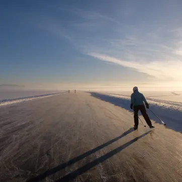 Eine person läuft mit Langstreckenschlittschuhen auf einer gepflügten Strecke, im Hintergrund mehrere Skater und Walker.