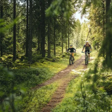 Far og sønn sykler i skogene i Säfsen.