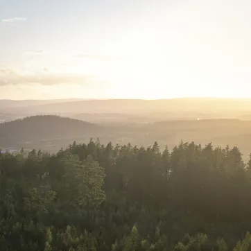 Utsikt over naturen i Dalarna.