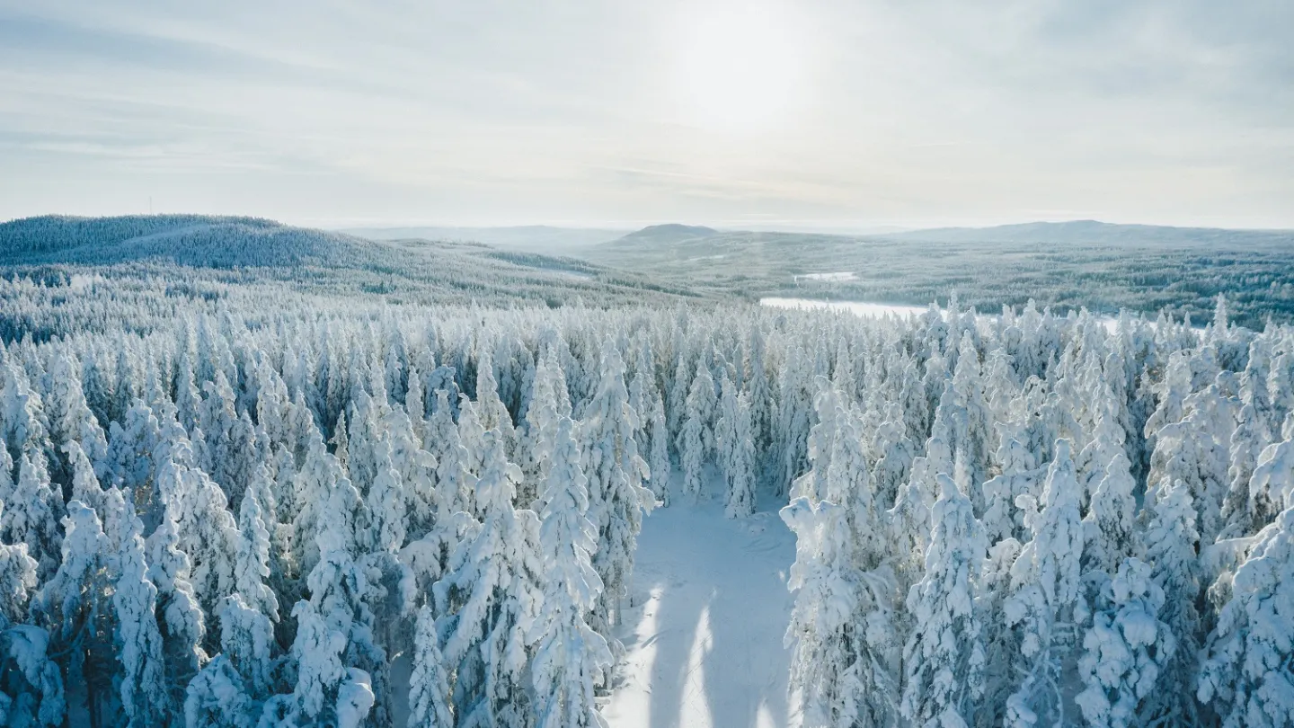 Udsigt over et vinterligt Dalarna.