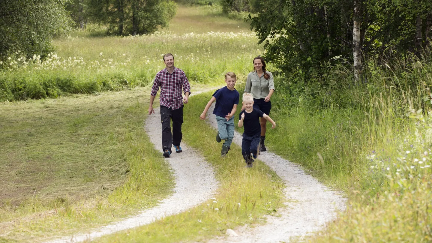 Een familie wandelt over eenn karrespoorpad.