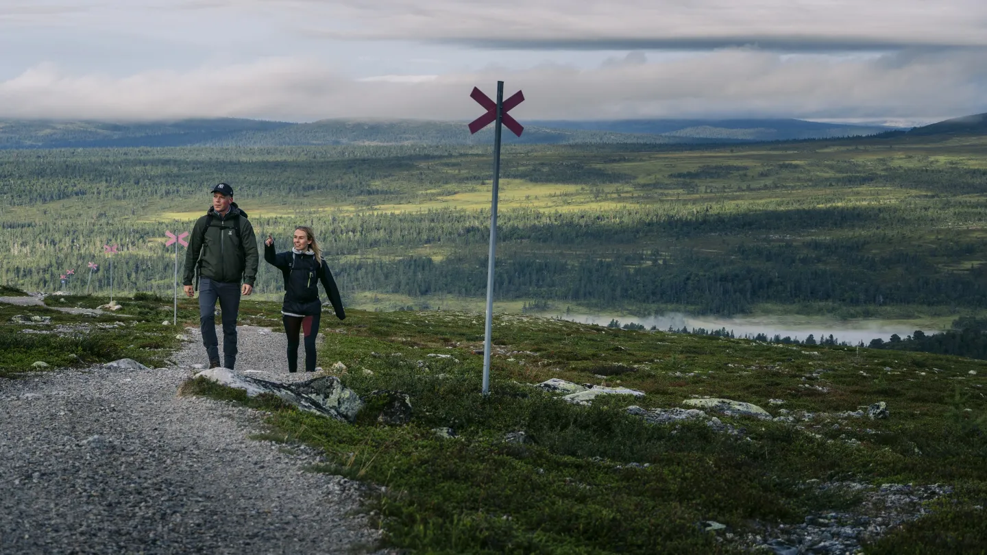 Een jong paar wandelt over een gemarkeerd wandelpad in een berglandschap met bos op de achtergrond.