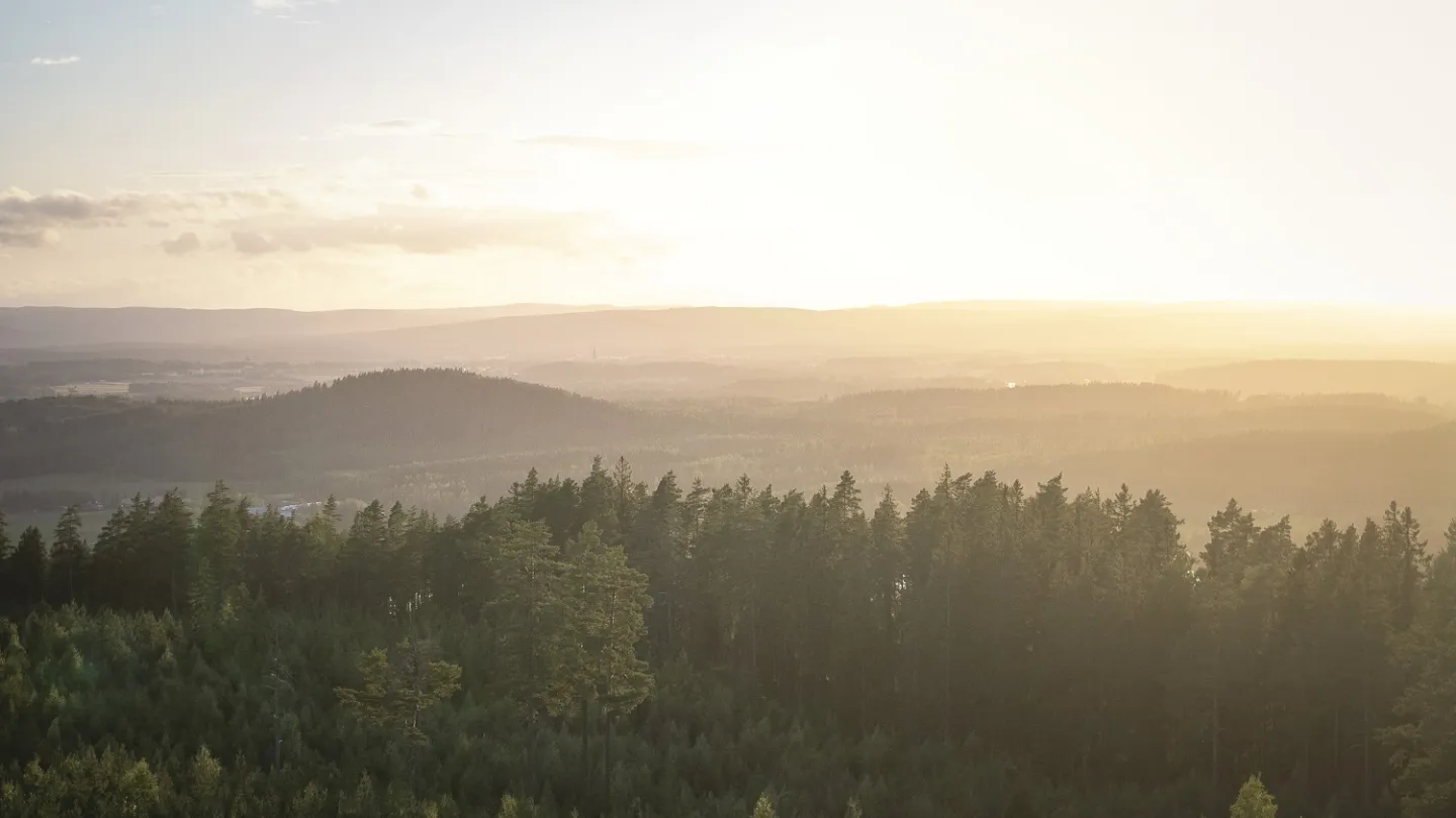 Utsikt over naturen i Dalarna.